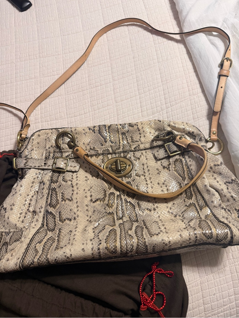 Coach Limited Edition Python Handbag - Picture 6 of 9